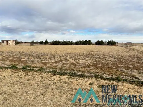 000TBD S Roosevelt Road 6 Road, Portales, NM 88130