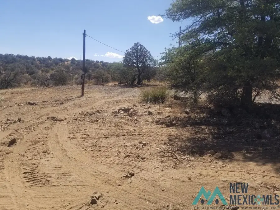 2402 Highway 90, Silver City, NM 88061 - #2