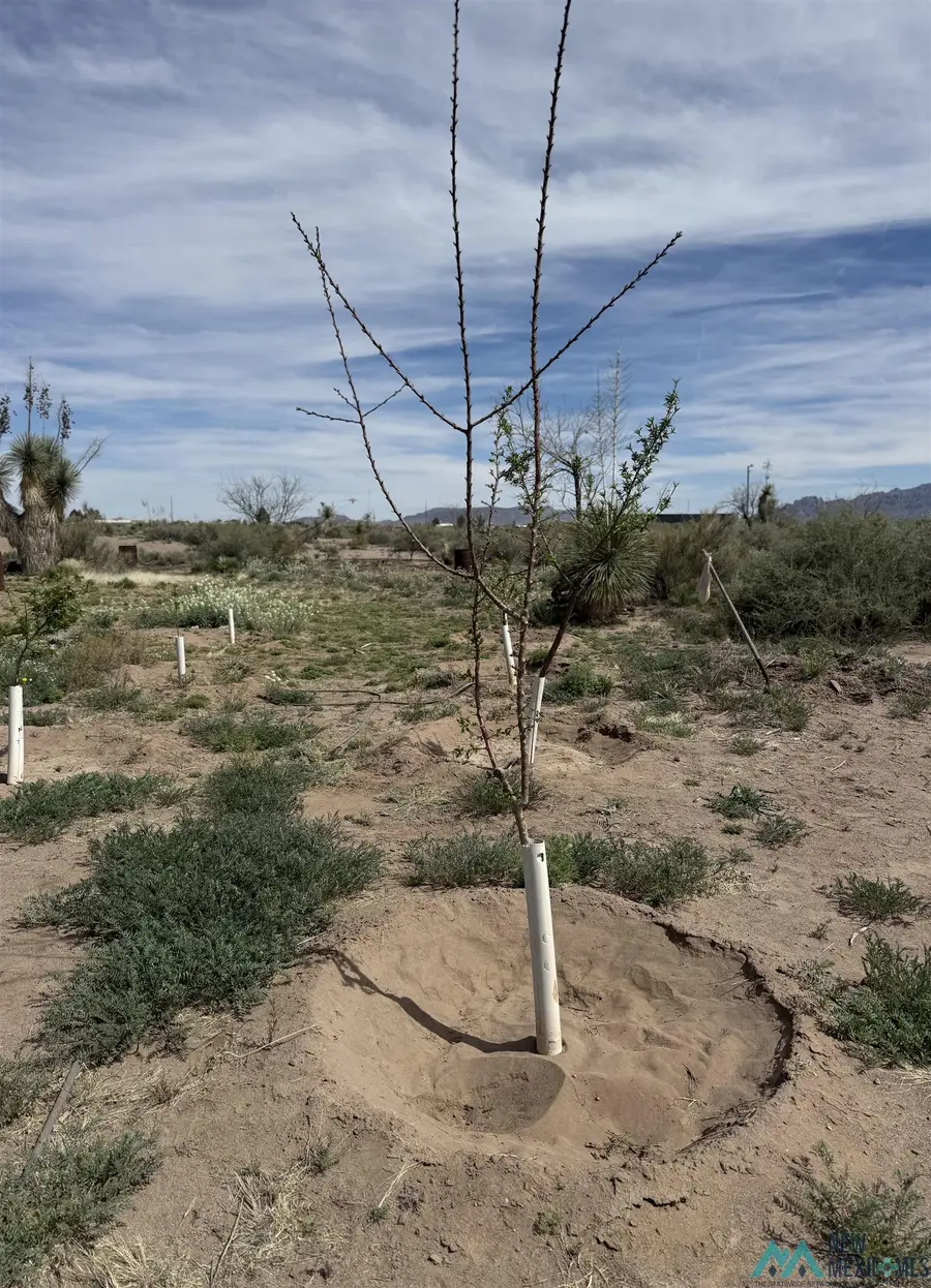 4655 SW Hermanas Grade Road, Deming, NM 88030 - #2