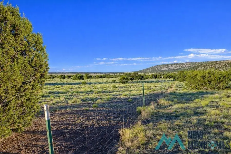 158-A Deer Circle Road, Quemado, NM 87829 - #2