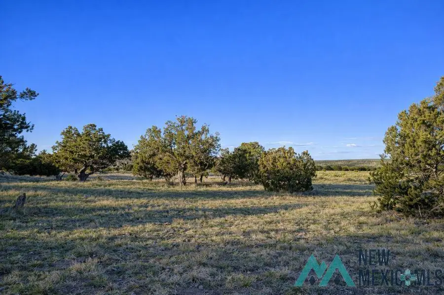 158-A Deer Circle Road, Quemado, NM 87829 - #3