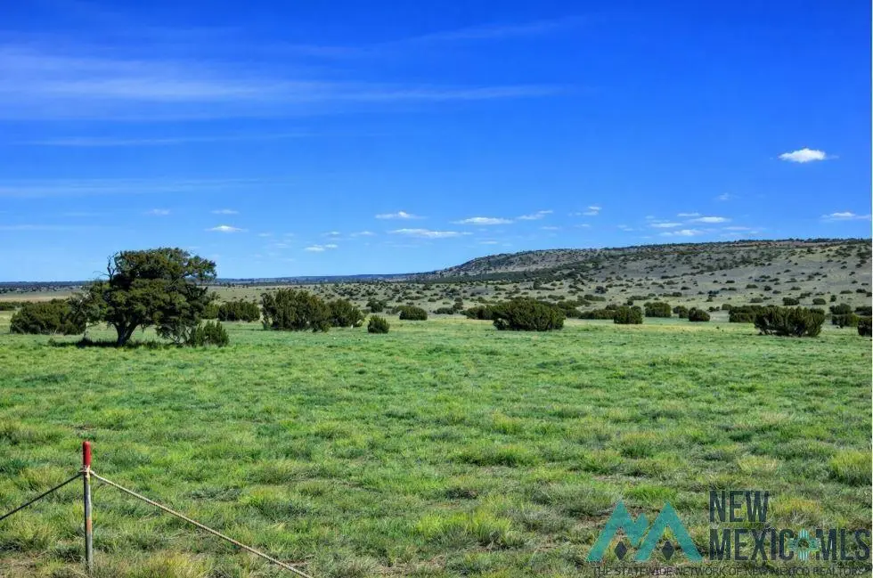 124 Deer Circle Road, Quemado, NM 87829 - #1