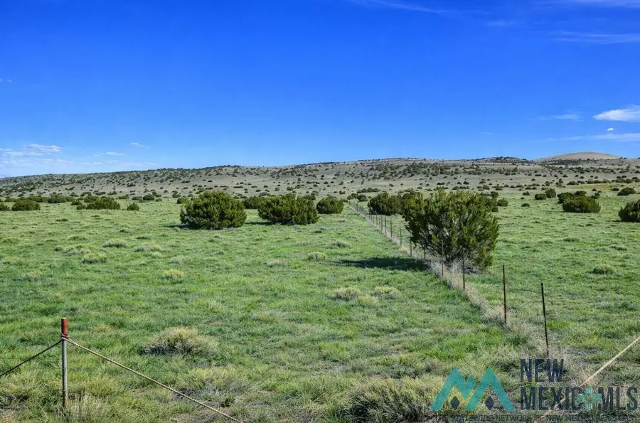 124 Deer Circle Road, Quemado, NM 87829 - #2