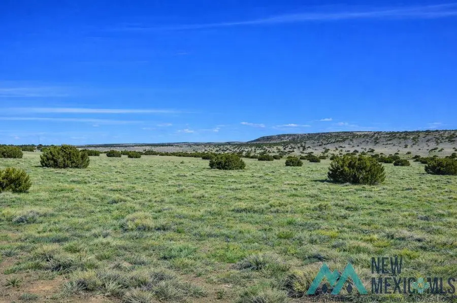 124 Deer Circle Road, Quemado, NM 87829 - #3