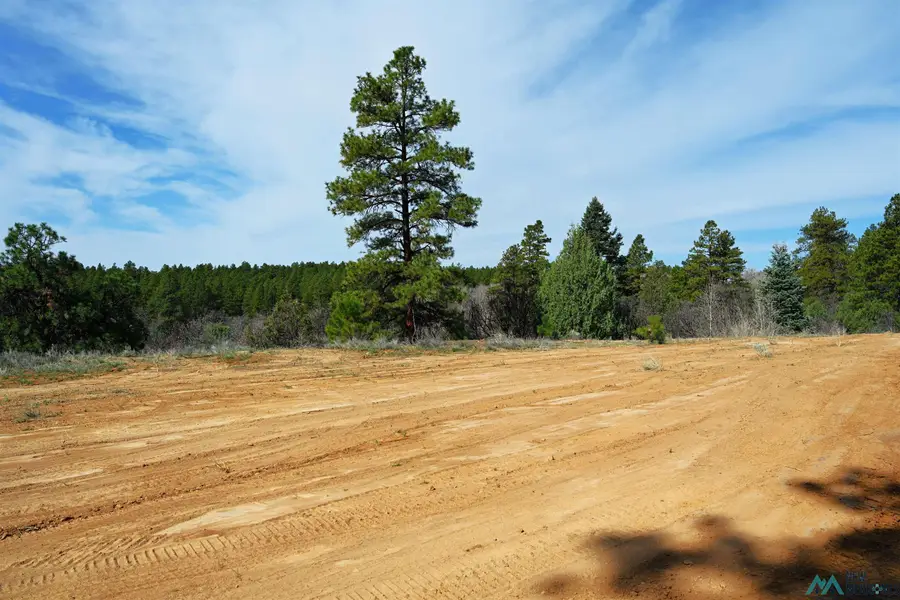 6 Badger Road, Chama, NM 87520 - #3