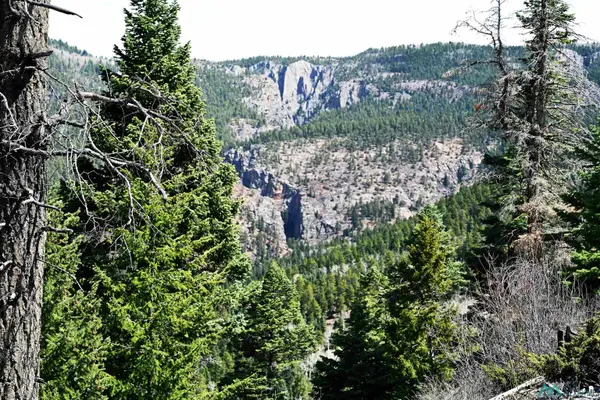 00 Ticonderoga Dr Drive, Chama, NM 87520