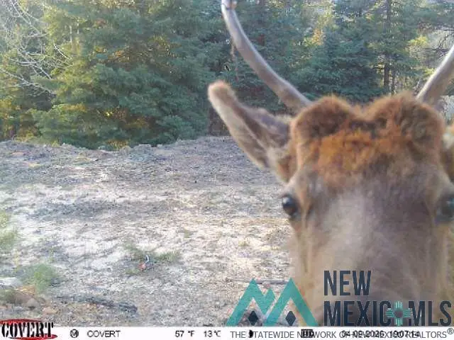 00 Ticonderoga Dr Drive, Chama, NM 87520 - #2