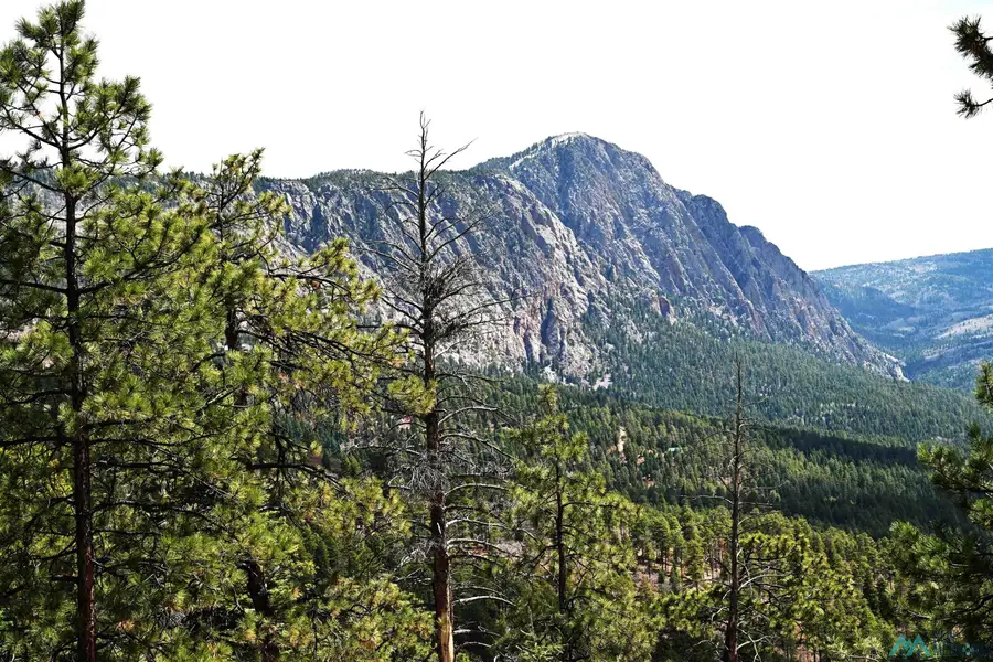00 Ticonderoga Dr Drive, Chama, NM 87520 - #3