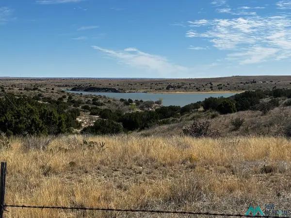Sr 203 Highway, Fort Sumner, NM 88119