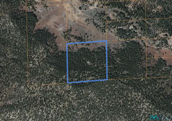 TBD Forest Road 157, Bluewater Lake - South, NM 87005