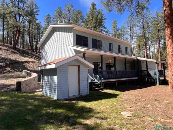 21 Dillon View, Luna, NM 87824