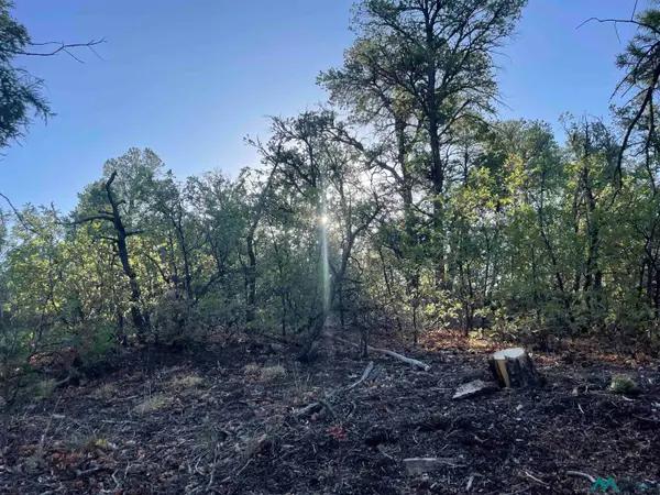 Address Withheld By Seller, Ramah, NM 87321