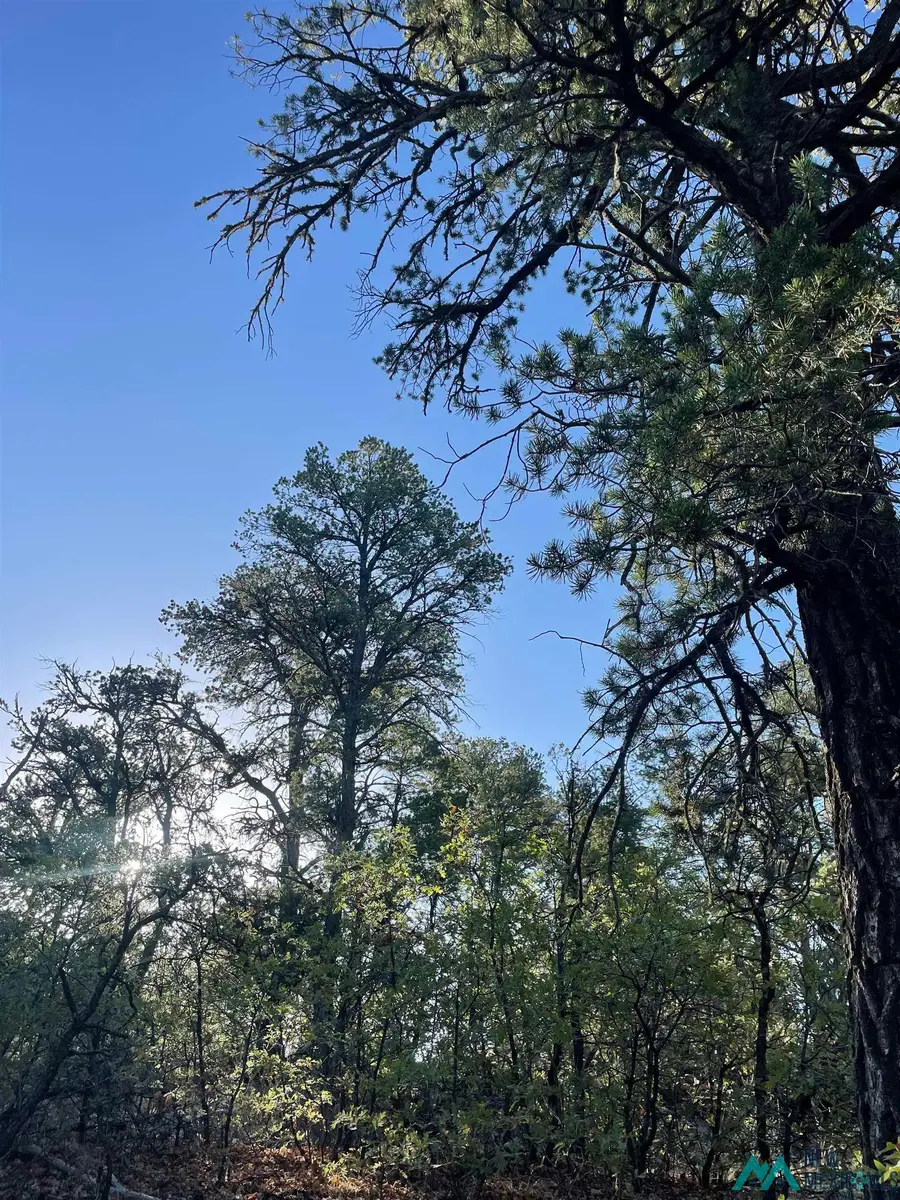 Address Withheld By Seller, Ramah, NM 87321 - #2