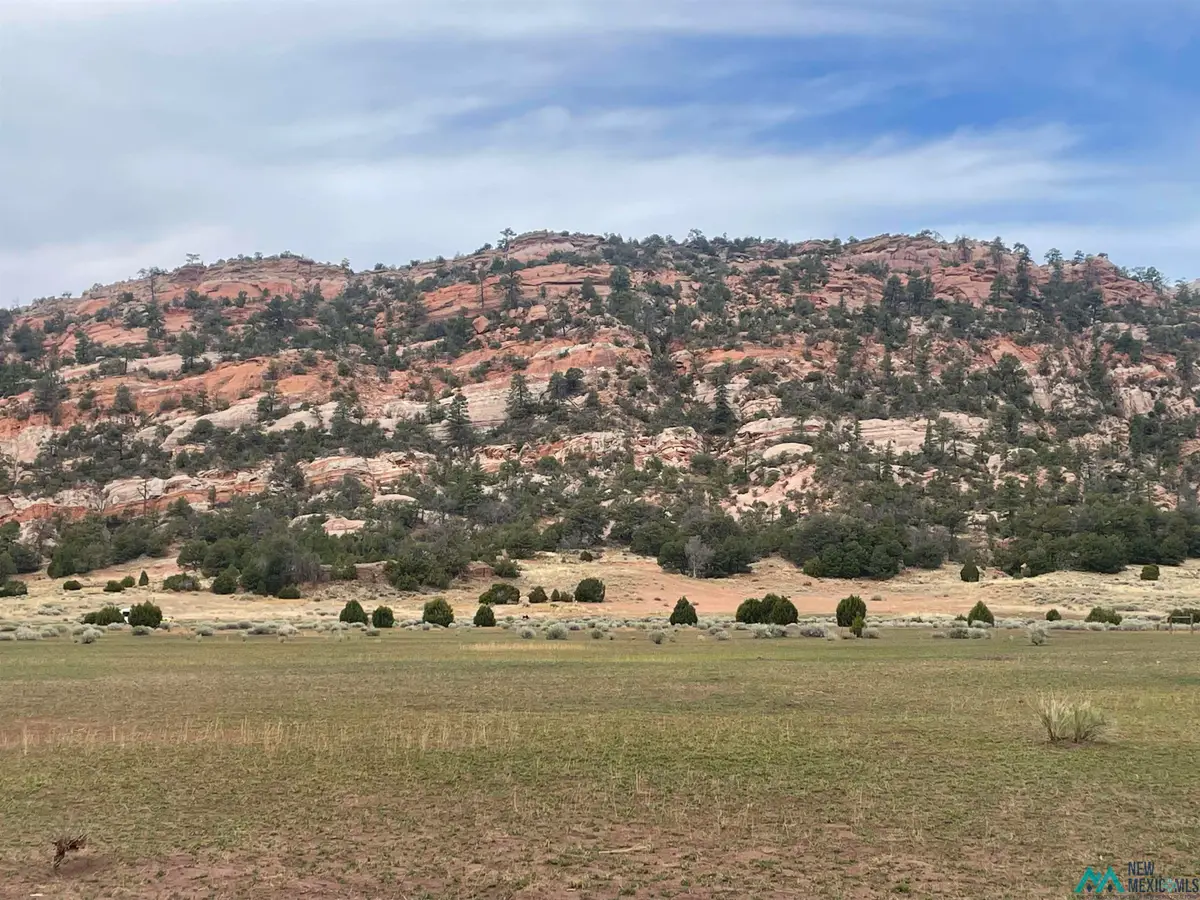 TBD Box S Ranch Road, Ramah, NM 87321 - #1