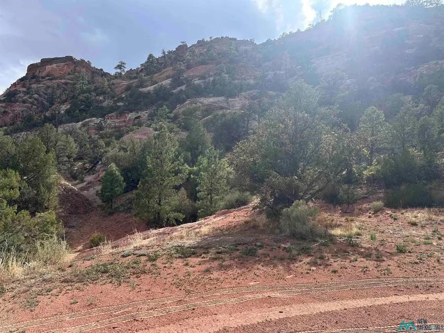 TBD Box S Ranch Road, Ramah, NM 87321 - #2