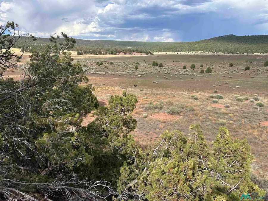 TBD Box S Ranch Road, Ramah, NM 87321 - #3