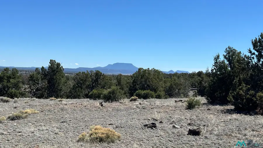 TBD Kemo Sabe Pass Road, Quemado, NM 87829 - #2