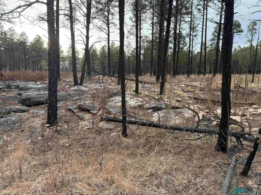 5.28 Acres Cabo Lucero Road, Las Vegas, NM 87701 - #2