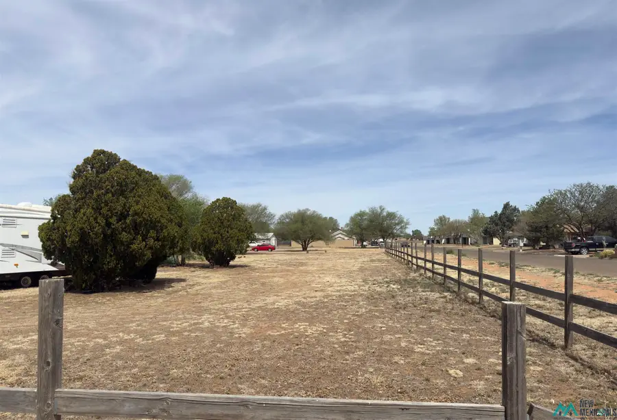 1312 E 10th Street, Clovis, NM  - #3