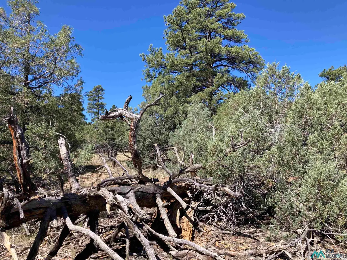 TBD Parkview Hills Lot 29, Rutheron, NM 87551 - #1
