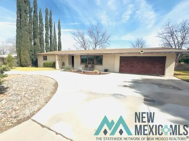 1310 W Ural Drive, Carlsbad, NM 88220 - #2