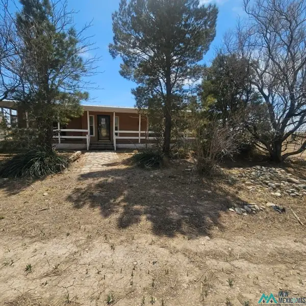 230 W Orchard Park Road, Dexter, NM 88230