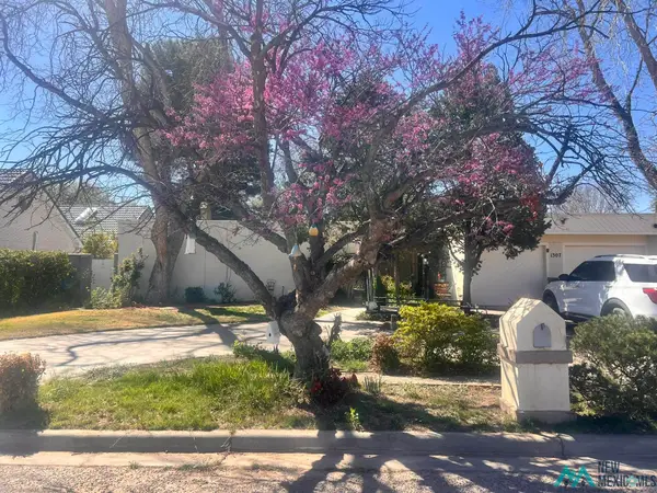1307 Lera Circle, Carlsbad, NM 88220
