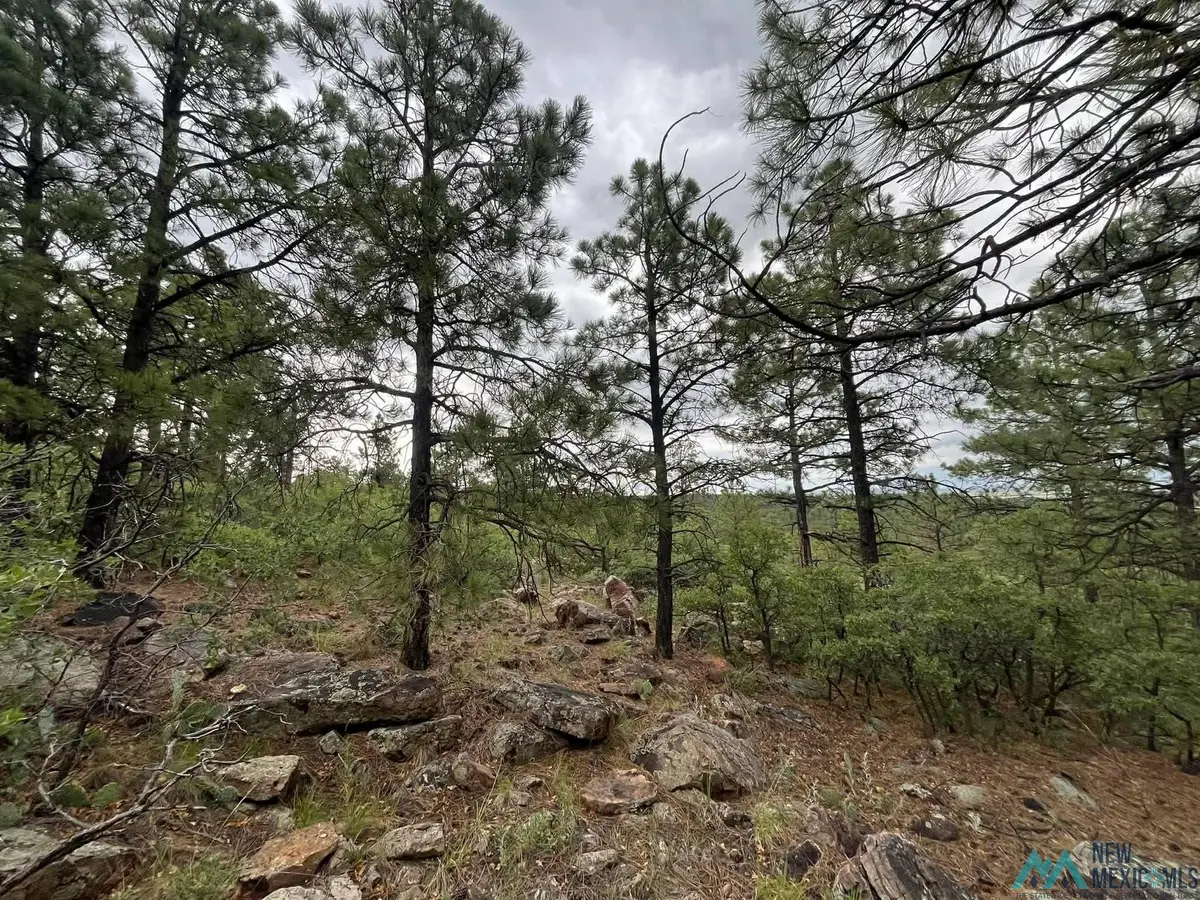 Lot E La Rama Rd. Road, Golondrinas, NM 87712 - #1