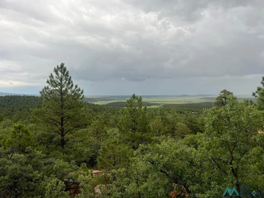 Lot E La Rama Rd. Road, Golondrinas, NM 87712 - #2
