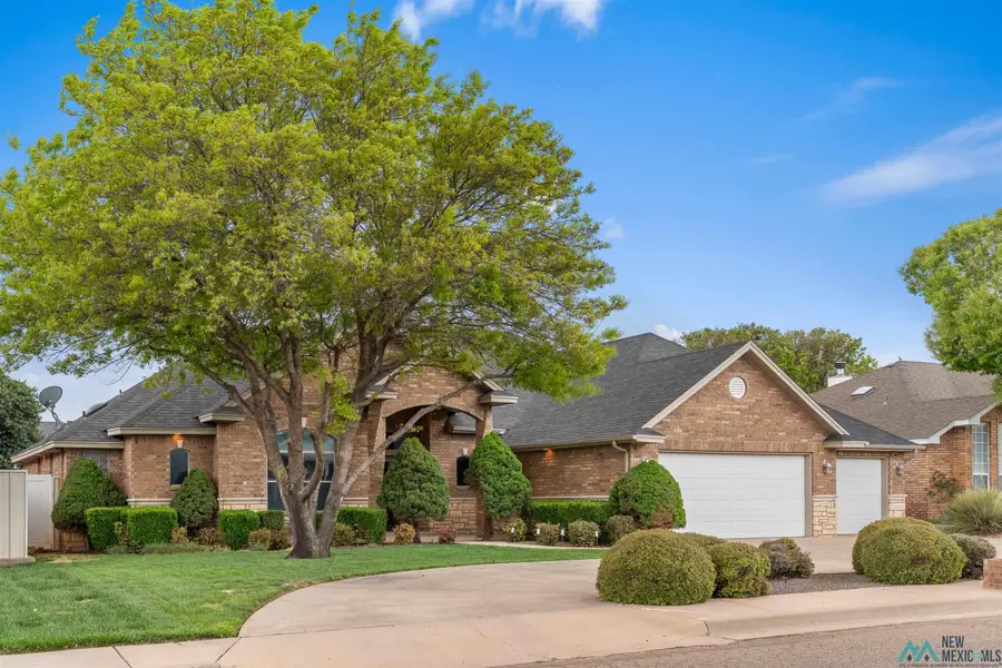 500 Wrangler Way, Clovis, NM 88101 - #2
