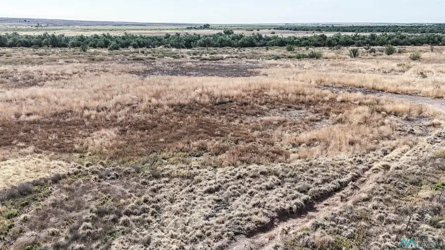 000 Tutelo Road, Dexter, NM 88230 - #2
