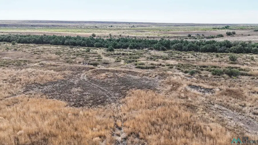 000 Tutelo Road, Dexter, NM 88230 - #3