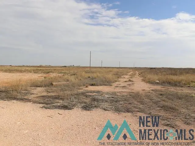 2037-A S Roosevelt Rd 7, Portales, NM 88130 - #2