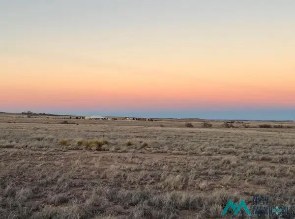 Lot 1 Lot 2 Buena Vida 2 Amend Road, Roswell, NM 88203