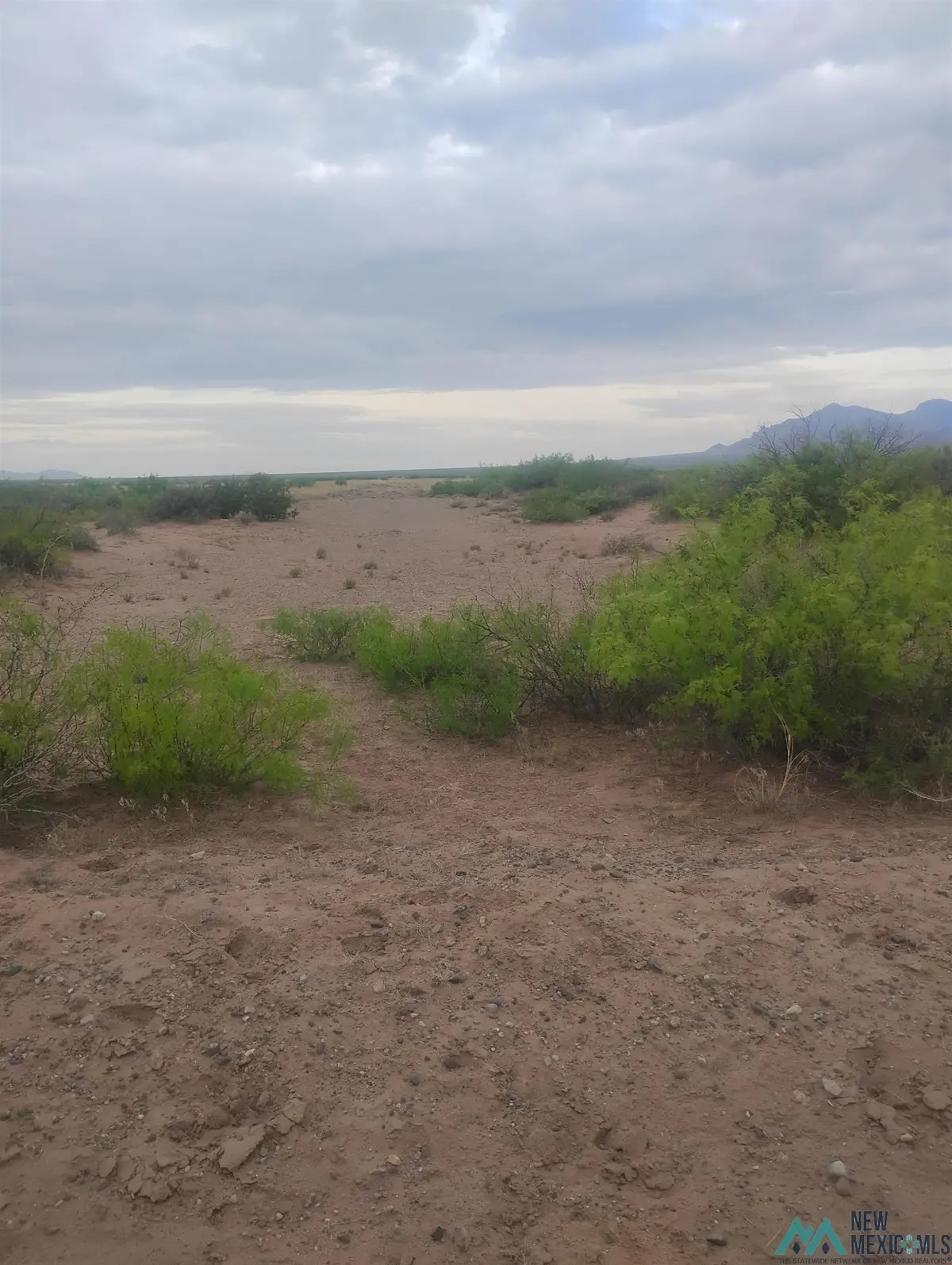 XXXX Indiana Rd Se, Deming, NM 88030 - #1