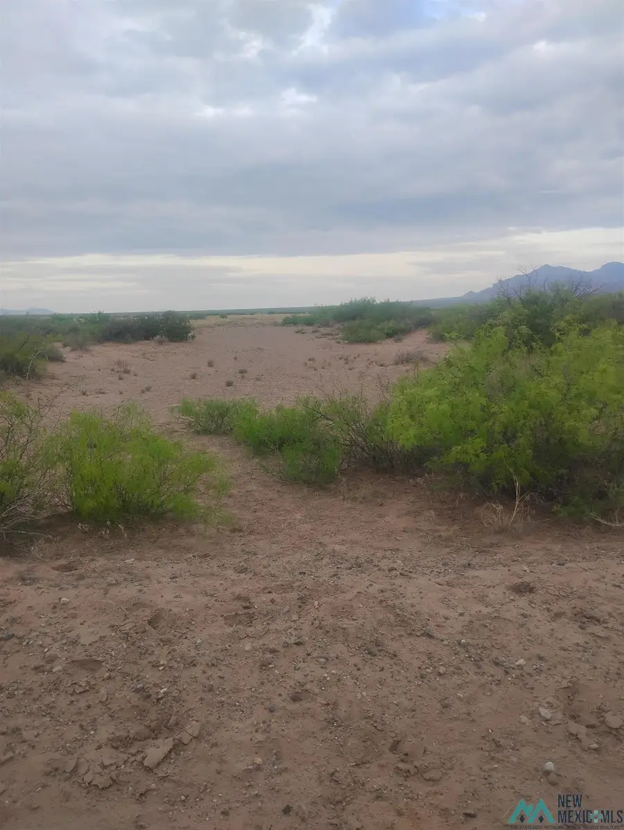 XXXX Indiana Rd Se, Deming, NM 88030 - #2