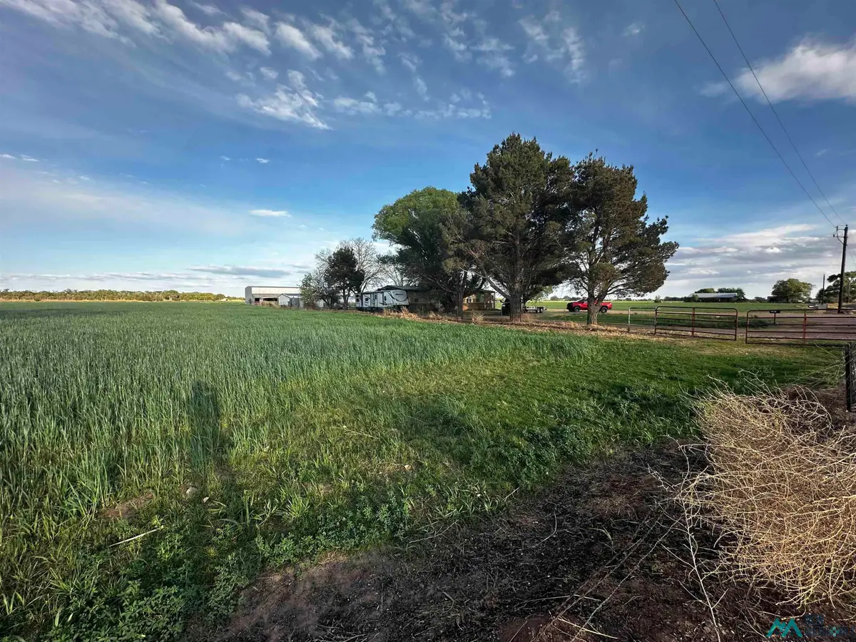 2070 Real Wind Drive Drive, Fort Sumner, NM 88119 - #1