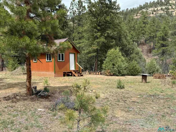 TBD Tbd Road, Chama, NM 87520