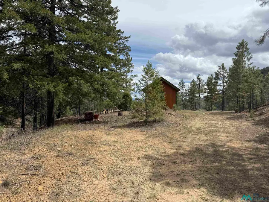 TBD Tbd Road, Chama, NM 87520 - #2