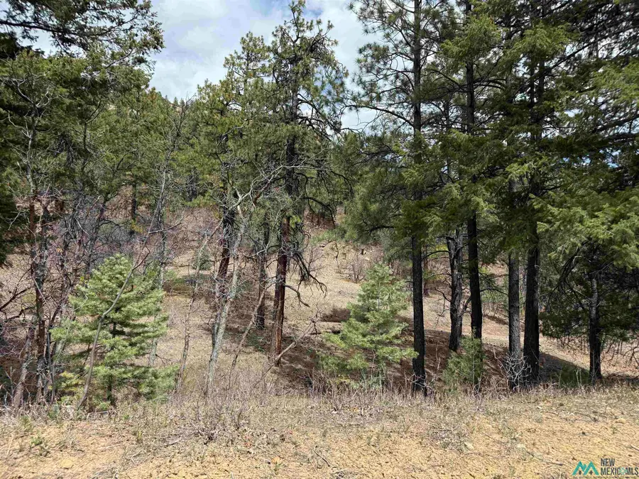 TBD Tbd Road, Chama, NM 87520 - #3