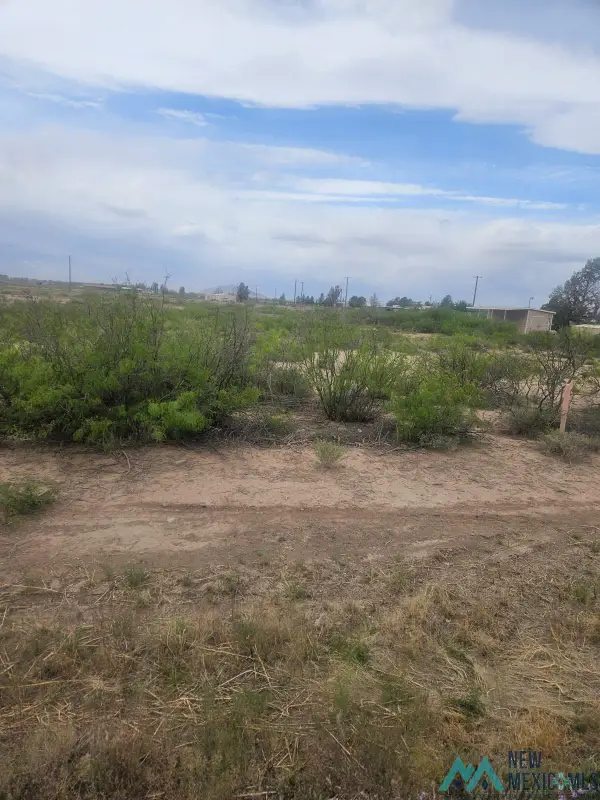 XXXX Columbus Hwy, Deming, NM 88030
