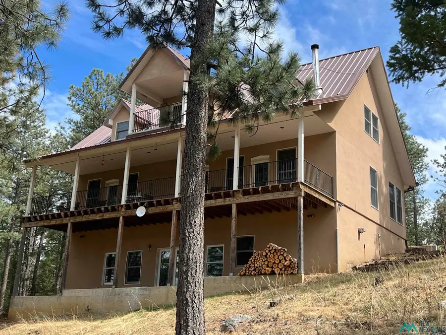 18 La Gaviota Court, Rociada, NM 87742 - #3