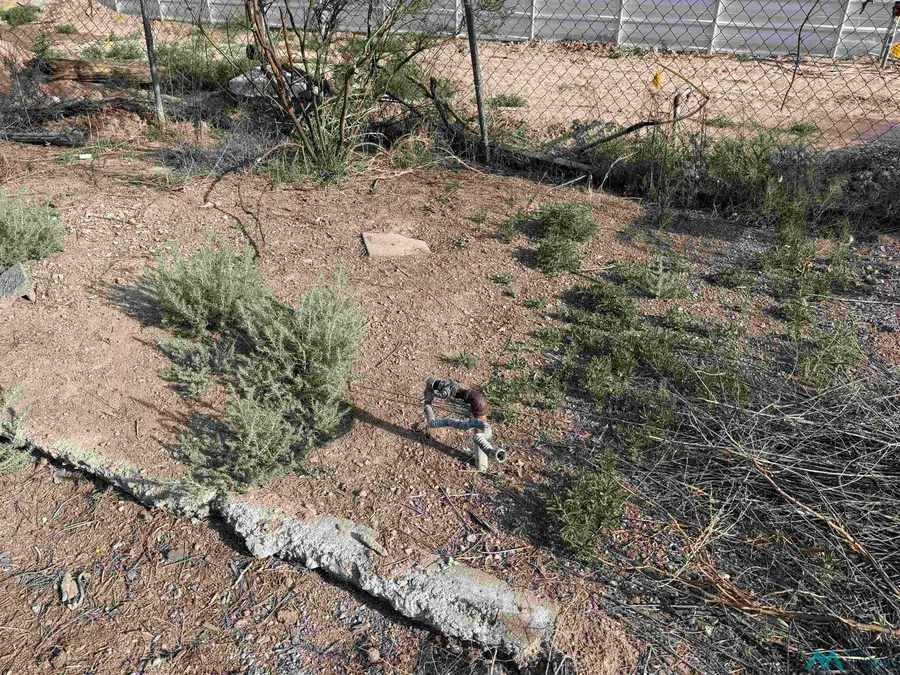 725 Charles Street, Truth Or Consequences, NM 87901 - #3