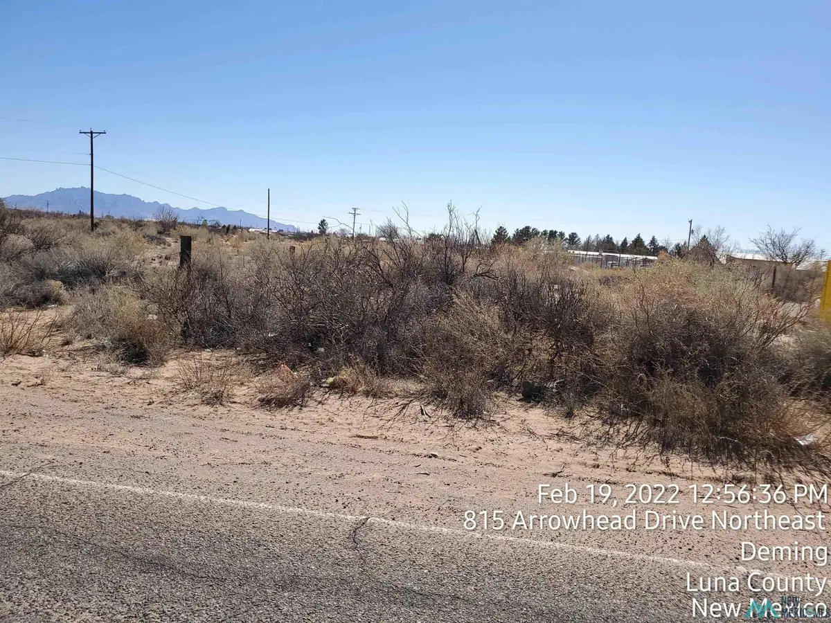 00 Palo Alto Rd Sw Road, Deming South, NM 5 - #1