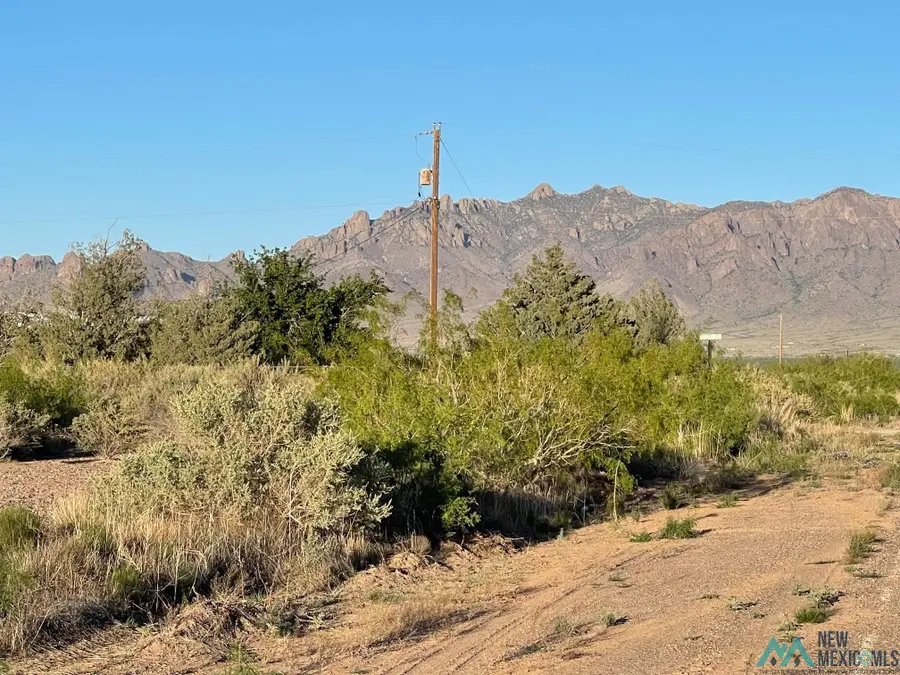 XXXX Camino Doce Rd Sw, Deming, NM 88030 - #3