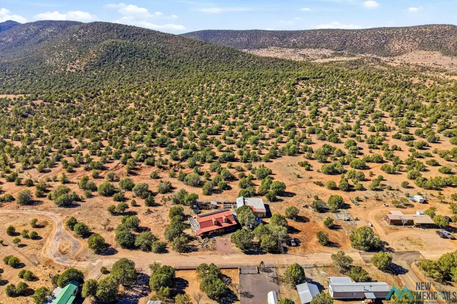 5 Western Avenue, Reserve, NM 87830 - #2