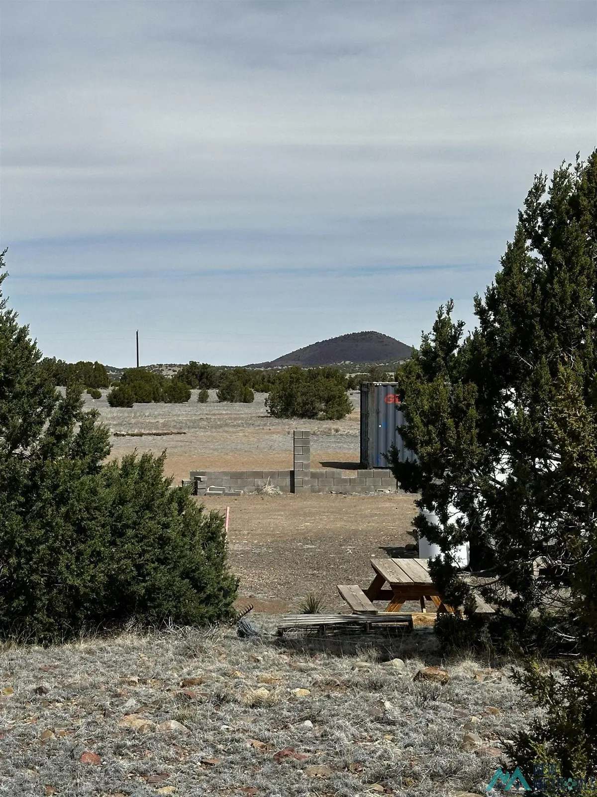 471 Cimarron Drive, Quemado, NM 87829 - #1