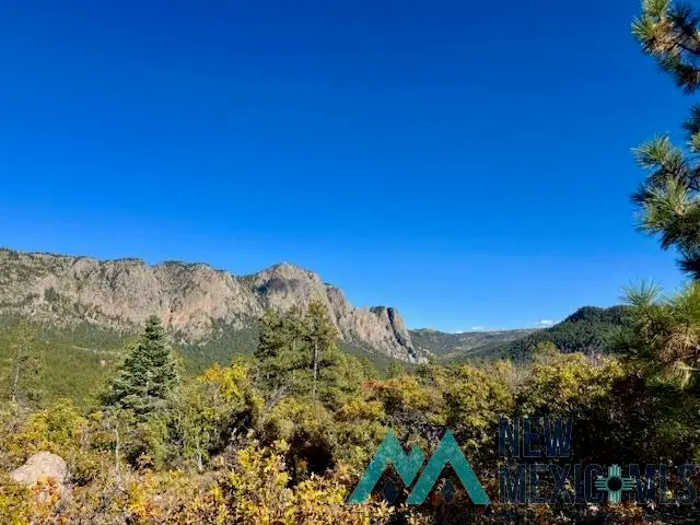 TBD Private Drive 1754-a Branch, Chama, NM 87520 - #1