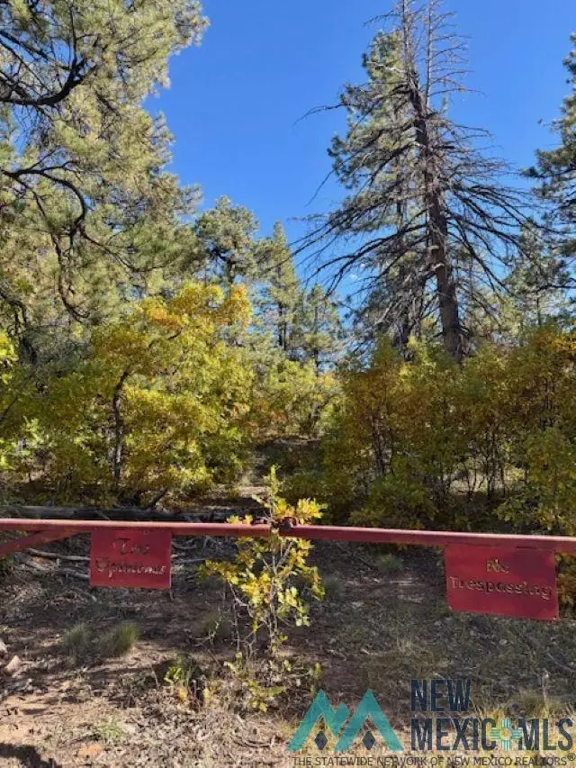 TBD Private Drive 1754-a Branch, Chama, NM 87520 - #2