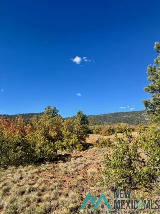 TBD Private Drive 1754-a Branch, Chama, NM 87520 - #3